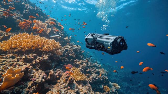 巨型磁化石表明古海洋生物具有“GPS”， 为探测火星生命提供工具