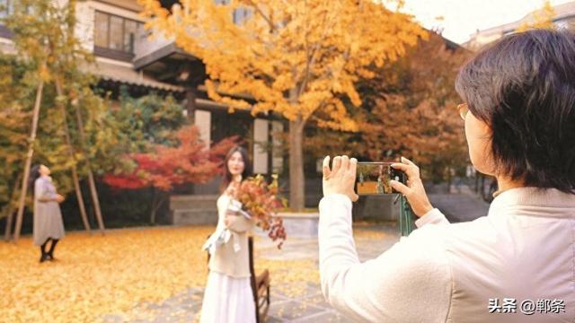 美在邯郸 | 清浅冬韵入园林