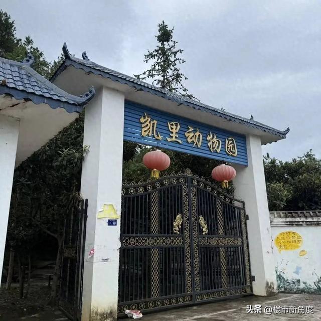 贵州凯里动物园，为什么会成为网络最热门的动物园？