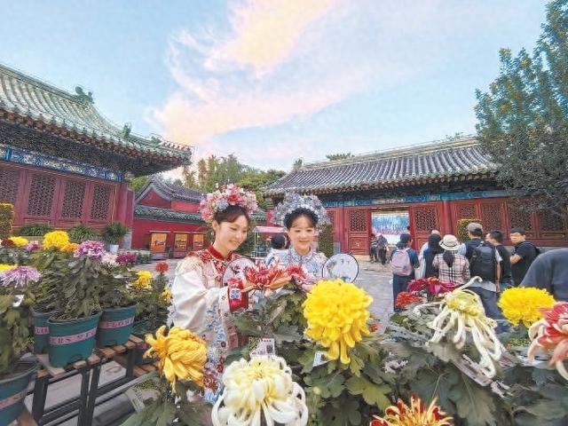 小而美的日坛游园会引来30万游客 街区联动接住流量 一场花展如何点燃街区消费