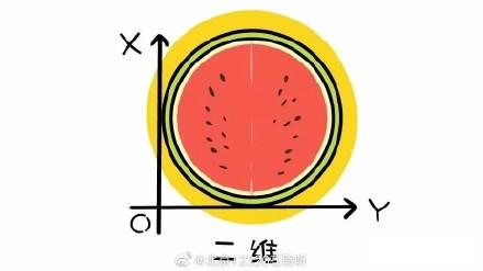 四维彩超和三维彩超有什么区别（做彩超时说的二维三维和四维都是什么意思）