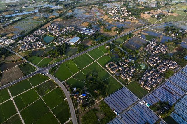 从阅读空间到文化枢纽,农家书屋和彭州的适配度太高了……