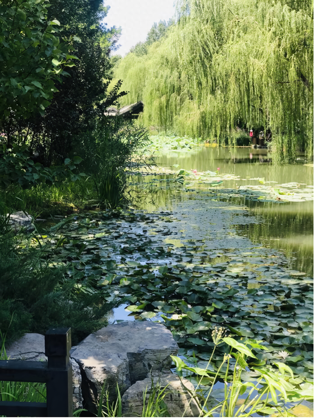 京城“小江南”围起“结界” 带你逃离烦恼和喧嚣