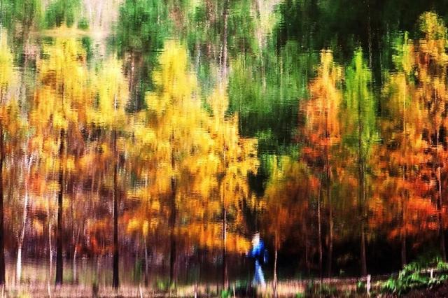 冬日茂名：看鹿湖顶“魔法”变变变