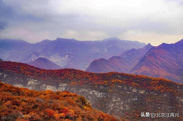 就像万山红，十五五明确了，先富带后富，实现共同富裕