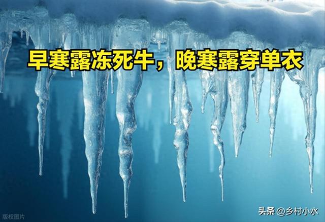 “早寒露冻死牛，晚寒露穿单衣”，今日寒露，今年冬天会很冷吗？