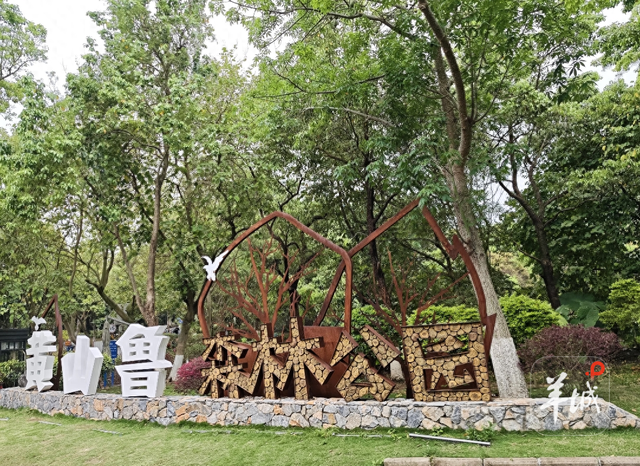 广州南沙百组家庭在黄山鲁森林公园参与生态科普活动，探索自然迎全运