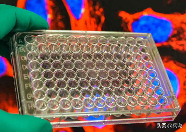 日专家要高市祭出“必杀技”：只要对华使出一招，就能让中方服软