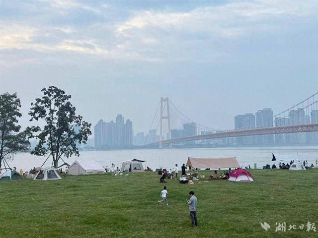 我的长江我的家｜洪山江滩：家门口的野趣花园