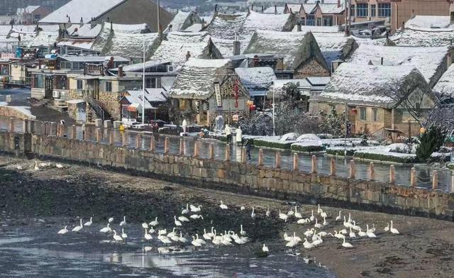 冬季版“好客山东”，今年有啥新玩法？