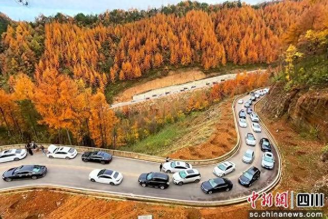 秋假引燃旺苍文旅热 首日客流突破2.5万人次