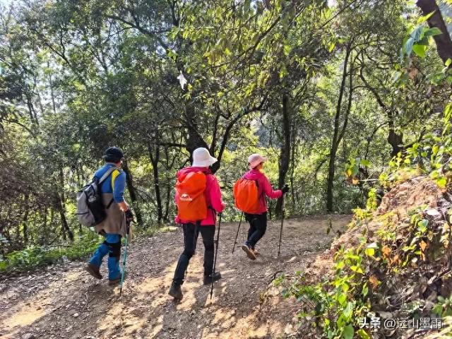 阳光明媚的冬日里，我们爬山去，逛陡坡村、看冬樱花，做晴朗的事