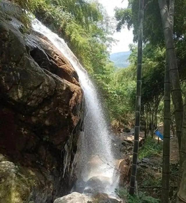 事发梅岭！女子登山中暑，消防员奋力抢救！