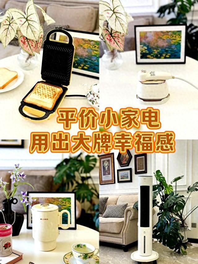 “买前瞧不上，买后离不开”：这7种小家电，真不是智商税！