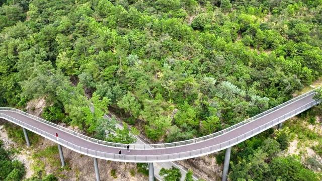 想撒野，来紫帽！