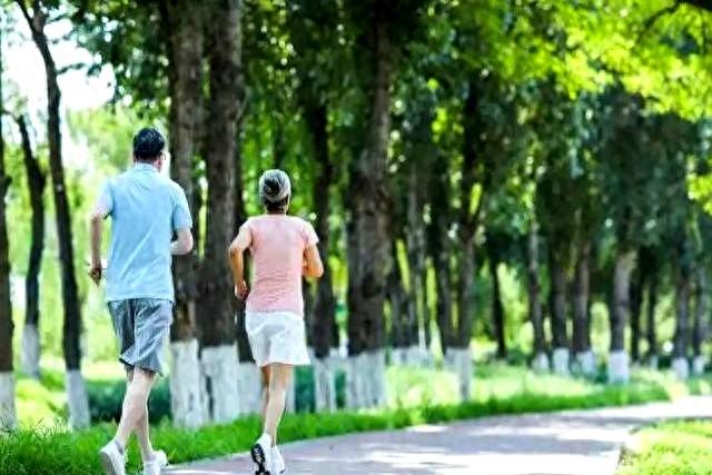 年龄越大越不要锻炼？医生发现：每天散步一小时！膝盖损伤严重