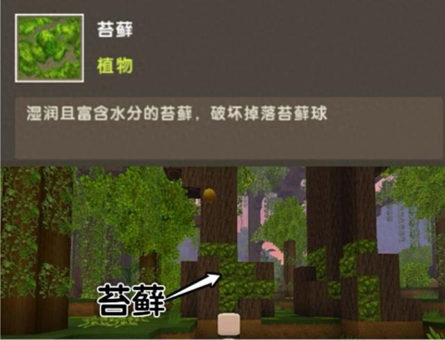 迷你世界更新版雨林地形（迷你世界大更新）
