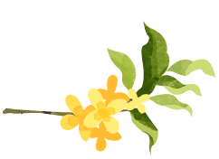 太美！太香！闽清这里的桂花开了！快来邂逅这场金色浪漫——