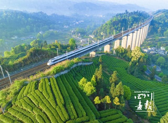 高铁提速，茶香不减，来一场说走就走的茶旅~~