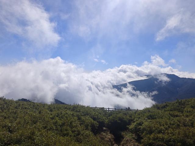 闯入神农架深秋的云海仙境，这一刻的治愈抵过万语千言。