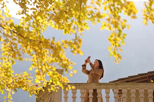 【图里有理】初冬暖阳风光好