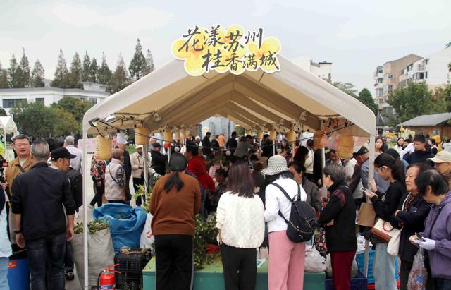 江苏苏州：桂花市集人气足