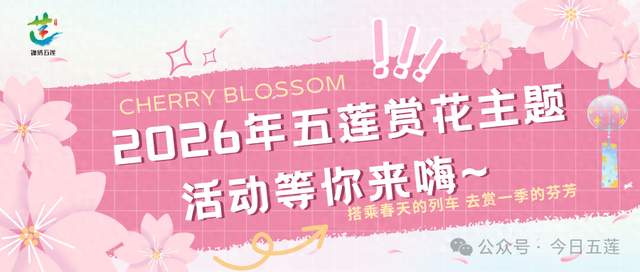 超精彩！五莲大旺花海盛会即将开启！