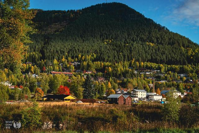 挪威秋韵，峡湾森境