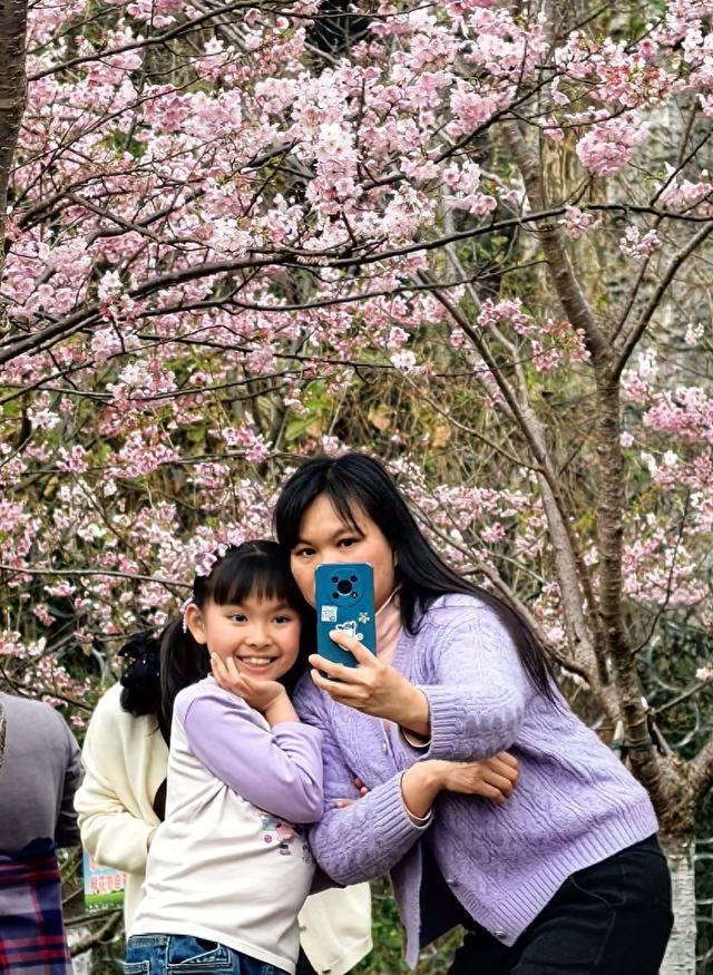 我市各大公园赏花正当时