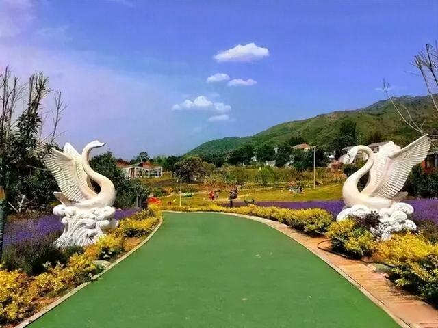 司马君：爱上了渭南这座城