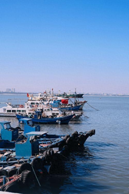 闽南遇冷？北方旅居者为何对厦泉“不感冒”