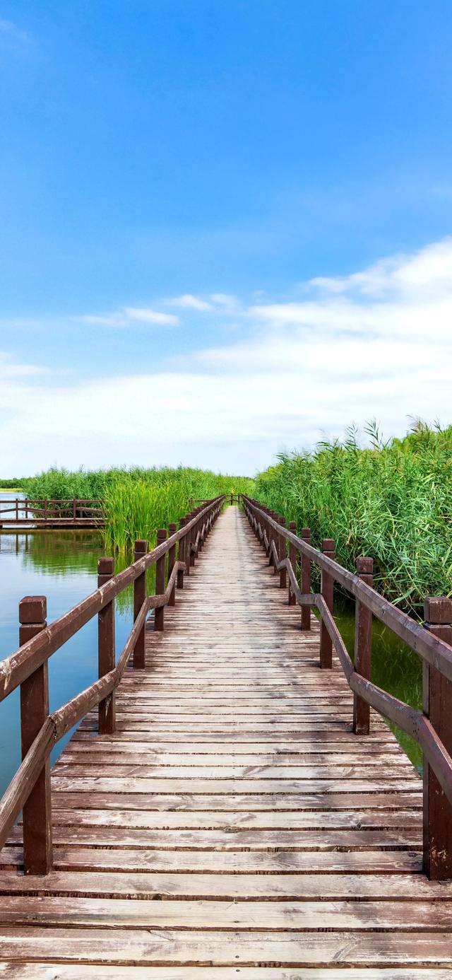 手机壁纸|风景