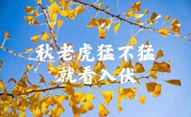 秋老虎猛不猛，就看入伏”，今日入伏，今年立秋后还要热多久？