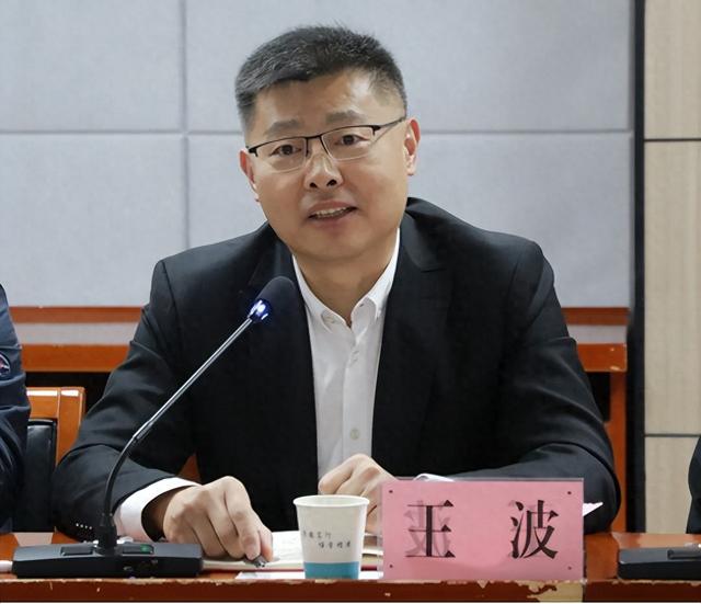 涉嫌严重违纪违法，王波被查