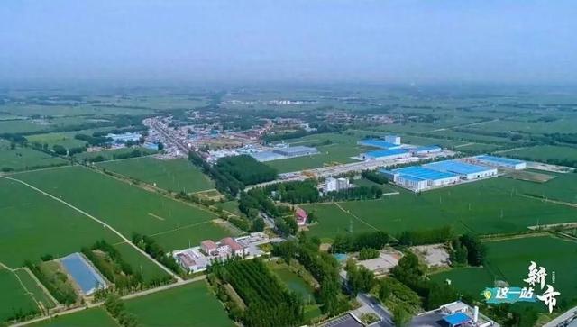 我的家乡我来记录，这一站——新市