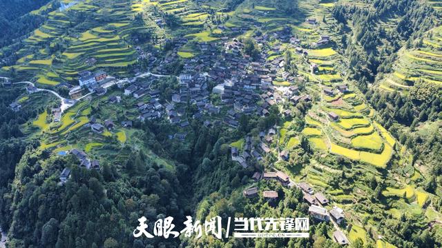 雷山雀鸟苗寨：藏于雷公山腹地的小众秘境