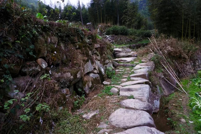 到杭州的山野，撒个欢