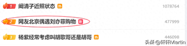 刘亦菲逛LV店被偶遇，试衣专注忘镜头	，网友：这“骨相	”太能打了