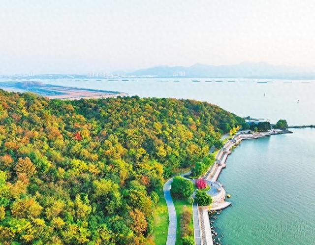 巢湖龟山换“彩妆”