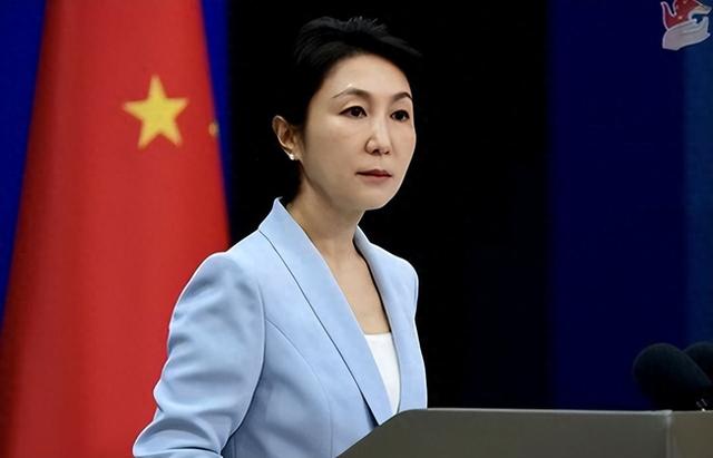 9.3阅兵前，德外长联手日本施压，不许中方做3件事，毛宁8字定性