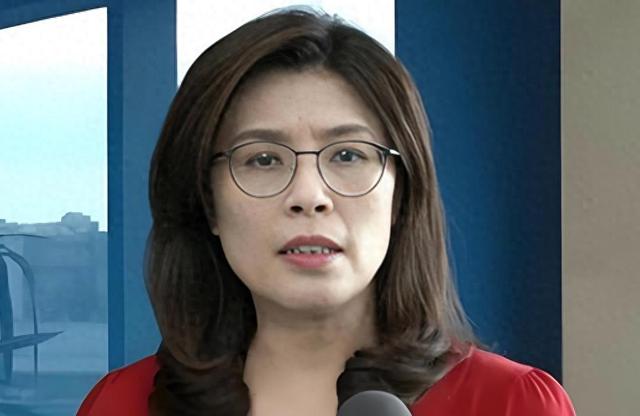 被称“脓包”后	，郑丽文任命新大将，向大陆摊牌，蔡正元表态亮了