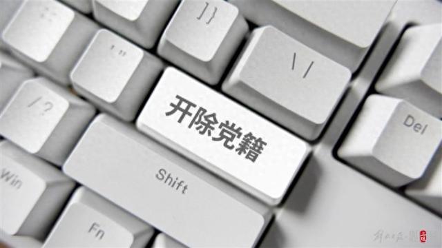 中共中央批准，开除两名副部级“老虎”党籍！