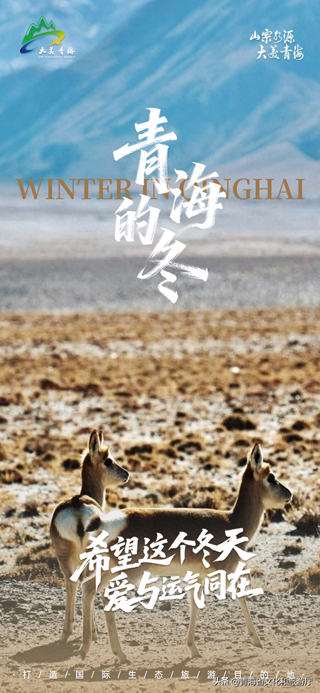 青海冬韵丨希望这个冬天爱与运气同在