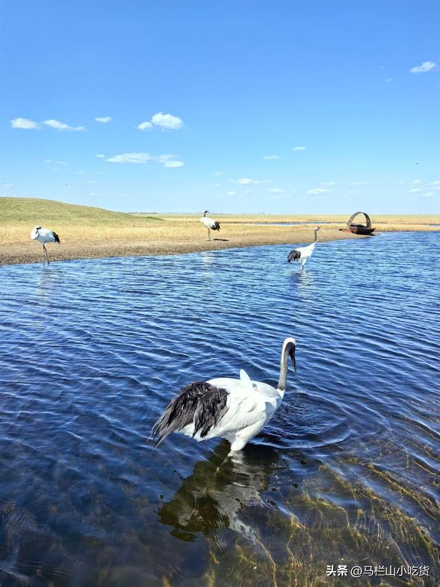 黑龙江旅游，鹤城齐齐哈尔打卡攻略！