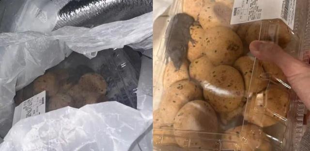 山姆麻薯盒内惊现活老鼠？当事人自述：打开那一刻	，人都吓蒙了