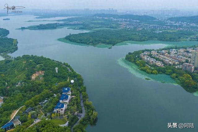 武汉的知音湖和后官湖究竟谁是大谁是小?把我这外地佬搞晕了