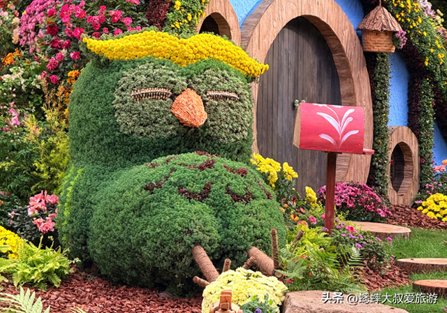 2025杭州植物园菊花展与四大分会场攻略来了，涉及赏玩交通！