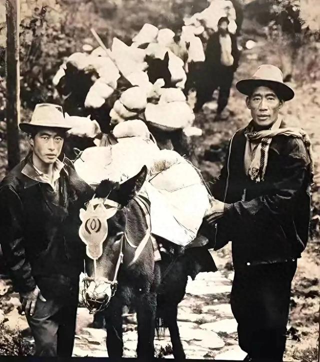 留在古道上的蹄印【下】——西双版纳古六大茶山新探之一 (5)