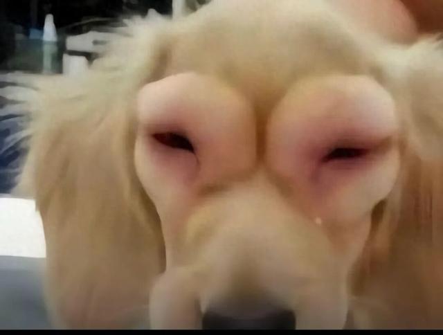 北京房价跌速已达全国第一，没眼看！