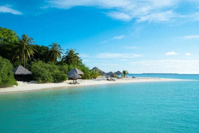 反向过冬“封神榜”！这10个城市温暖又好玩